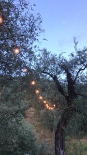 Le Molina B&B - Massa e Cozzile - 5