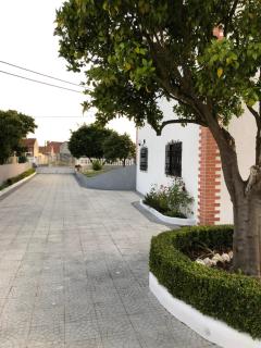 My house in Mira - Cantanhede Mira Beach Cantanhede - Senhora das Febres - 8