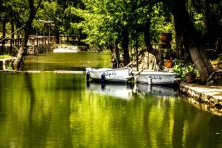 Dalya Life - Göcek - 0