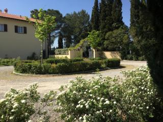 Villa Il Principino Country Resort - 5
