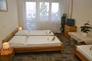 Volha - Prague - 8