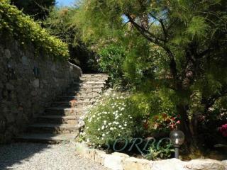 Villa Sorbo - 1
