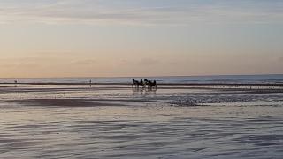 Séjour romantique à Cabourg, studio vue mer - Cabourg - 5