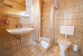 Pension Nina & Gasthof Alpenrose - Gschnitz - 3