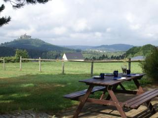 Large chalet with magnificent views - Dabo - 9