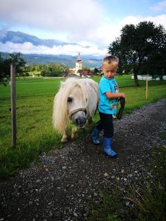 Ortnerhof - Millstatt - 4