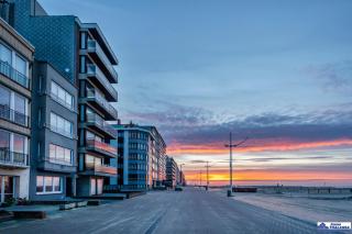 Opale 0101 - Koksijde - 6