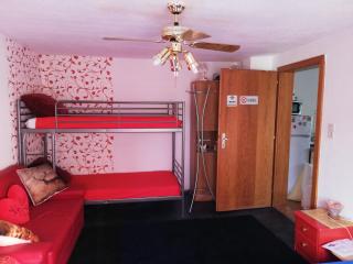 Apartment in Salzkammergut - Attnang-Puchheim - 2