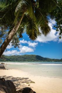 Sunset View Self Catering - Anse Boileau - 2