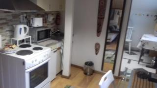 APARTMENT " Studio Green " free parking, self check-in - Zagreb - 2