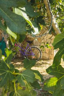 Apartmani Alic - Šibenik - 1