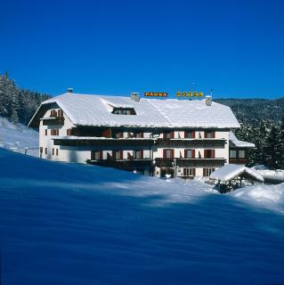 Hotel Pausa - Montagna - 7