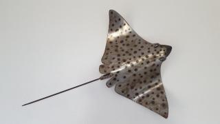 Den Laman - Balloonfish - 1