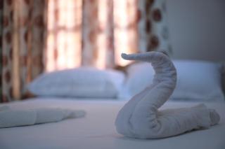 Villa Anandha - Thiruvananthapuram - 3