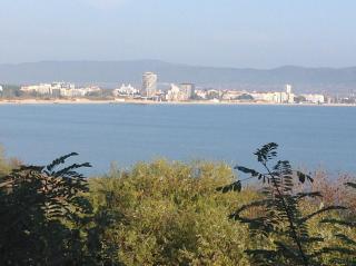 Flores park - Sunny Beach - 4