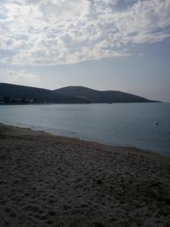 Family and friendly home. - Palaia Fokaia - 3