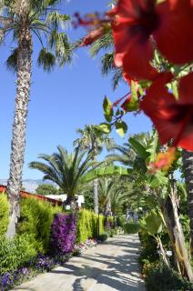 Emelda Sun Club - Kemer - 8
