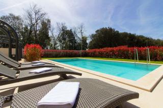 Luxury Villa Olivia with pool , 200m from the beach - 4