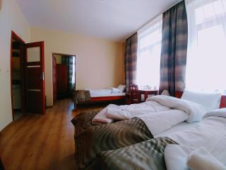 Parkowa Rezydencja Hubal - Rabka-Zdrój - 5
