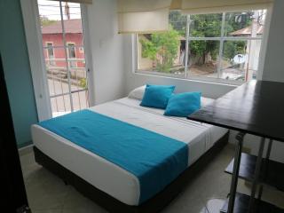 Hotel Oasis de la Tatacoa - Villavieja - 8