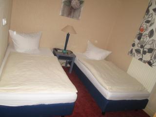 Grüner Baum Nürnberg Brunn - 8