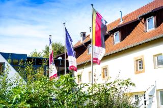 Wohlfühlhotel IM SCHLOSSPARK - Self CheckIn - 5