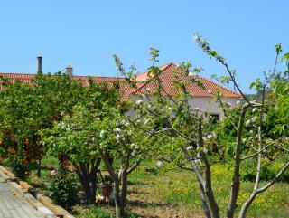 Quinta do Covanco - Alenquer - 3