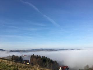 Steirer Haus - Gamlitz - 8