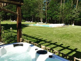 Château des Essards avec piscine et jacuzzi - Langeais - 8
