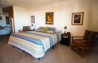 Raton Pass Motor Inn - Raton - 4