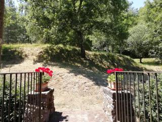 Vignoli - Bagni di Lucca - 6