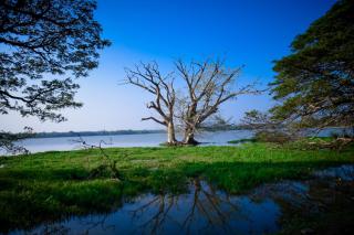 Tissa Rainbow Guest & Yala - 4