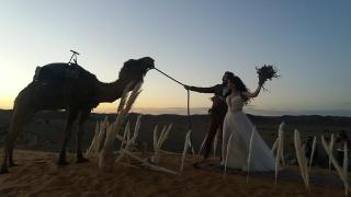 Sultan Luxury Camp - Merzouga - 0