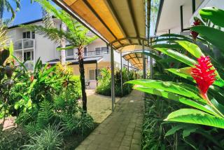 Cairns Reef Apartments & Motel - Cairns - 3