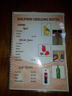Dolphinchilling - Alankuda - 8
