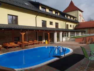 Wellness Hotel Fridrich - Horní Těrlicko - 9