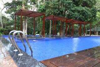 Sea Shell Samssara - 8