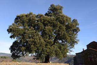 La vallée de Gaïa - Saint-Hilaire-de-Lavit - 5