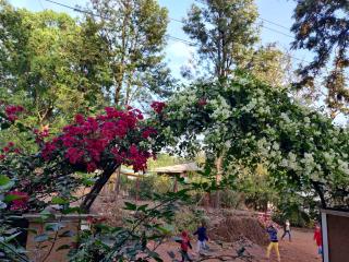 4 bhk spacious bungalow - Mahabaleshwar - 9