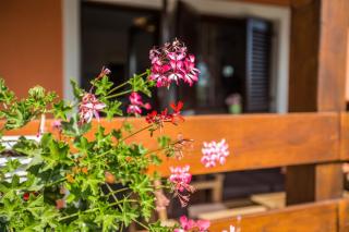 Cozy villa Sejdi with private pool in Pula by WiiBuk - 2