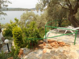 Violetta Studios & Apartments - 1
