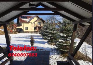 Pensiunea 7 Brazi - 0