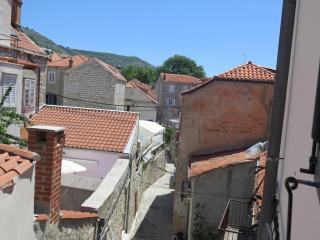 Apartment Ranieri Pile - Dubrovnik - 1
