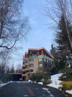 Classic Residence - Poiana Brasov - 9