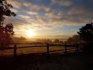 Chequers Hotel - Pulborough - 9