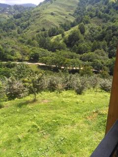 Дом для отдыха близко Батуми - 5