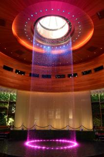 The Guitar Hotel at Seminole Hard Rock Hotel & Casino - 5