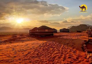 Wadi Rum Dew - Wadi Rum - 0