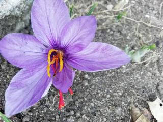 Guest House Caracas - 7