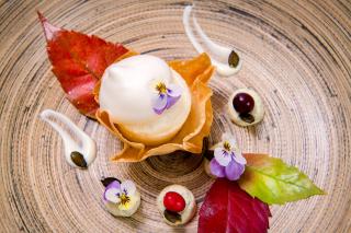 RAMSI euer Familienhotel - 1